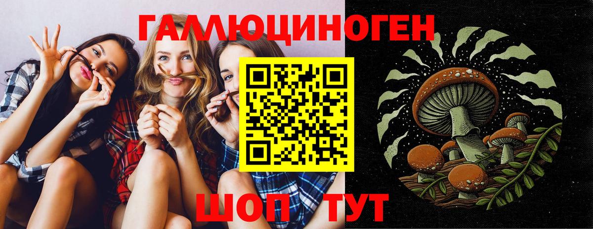 Грозный  Псилоцибиновые грибы мицелий  Галлюциногенные грибы Magic Shrooms  Вход с VPN 